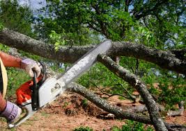 Reliable Rockwood, MI Tree Removal and Landscaping Services Solutions